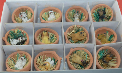 BOXED SET OF 12 DIFFERENT DOGS IN MINIATURE FLOWER POTS(SHOP CLEARANCE) - TMD167207