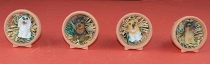 BOXED SET OF 12 DIFFERENT DOGS IN MINIATURE FLOWER POTS(SHOP CLEARANCE) - TMD167207