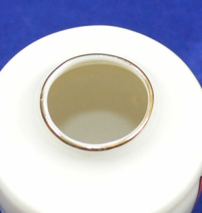 CARLTON CHINA CRESTED WARE CHINA VASE AMBLESIDE(PREVIOUSLY OWNED)GOOD CONDITION - TMD167207