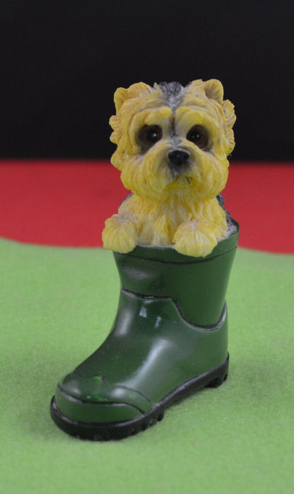 dog  in a green wellington