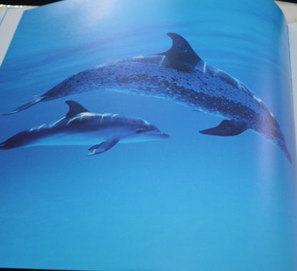 SECONDHAND BOOK DOLPHINS by BEN WILSON(PREVIOUSLY OWNED) VERY GOOD CONDITION - TMD167207